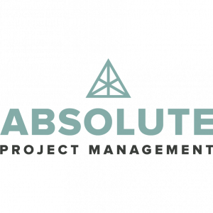 Absolute project management