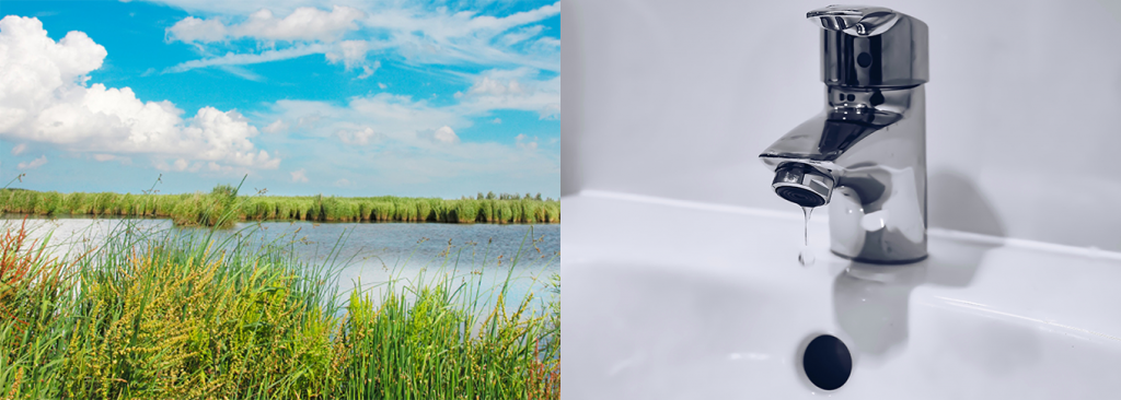 Image showcasing Defra announces consultation on water efficiency standards - Good Homes ...