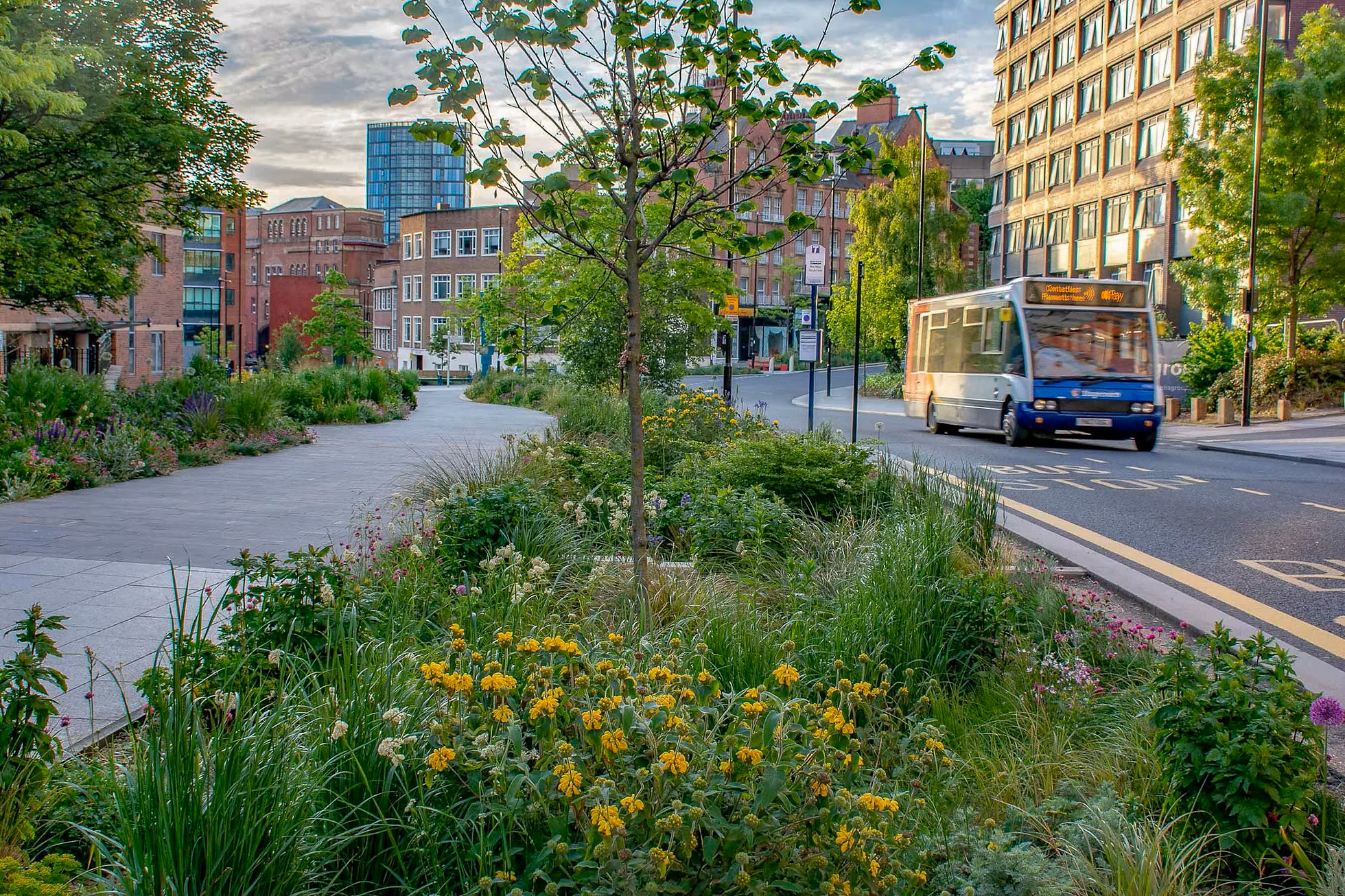 Climate adaptation in placemaking and building design